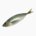 Horse mackerel (raw)
