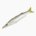 Barracuda (raw)