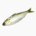 Gizzard shad (raw)