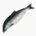 Pink salmon (raw)