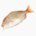 Yellow sea bream (raw)