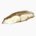 Red sea bream (cultured, baked)