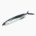 Flying fish (raw)