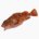 Black rockfish (raw)