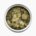 Short-necked clam, Canned product (with seasoning)