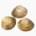 Hard clam (tsukudani)