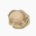 Scallop (raw)