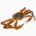 Snow crab (raw)