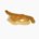 Sea cucumber (konowata)