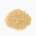 Rice, Paddy rice grain (brown rice, raw)