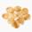 Corn (cultivar, cuzco, oil-roasted and salted)