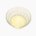 Hen's egg (white, raw)