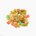 Rice cracker (arare)