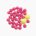 Chewing gum (bubble)