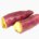Sweet potatoe (tuberous root, steamed)