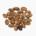 Kidney bean (uzura-mame)