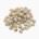 Pea (shio-mame)