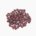 Cowpea (whole, dried, raw)
