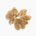 Walnut (roasted)