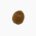 Sweet acorn (raw)