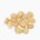 Macadamia nut (roasted and salted)