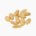 Peanut (oil-roasted and salted)