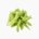 Edamame (raw)