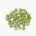 Green pea (frozen)