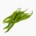 Red pepper (fruit, raw)