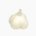 Garlic (bulb, raw)