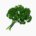 Parsley (leaves, raw)