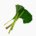 Japanese butterbur (petiole, raw)