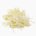 Mung bean sprout (raw)