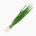 Turfed stone leek (leaves, raw)