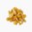 Nameko (raw)