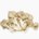 Oyster mushroom (raw)
