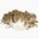 Maitake (dried)