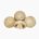 Common mushroom (boiled)