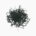 Arame (steamed and dried)