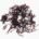 Fu-nori (dried)