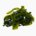 Wakame (raw)