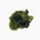 Wakame Blanched and salted (desalted)