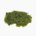 Wakame Fruit-bearing leave (raw)